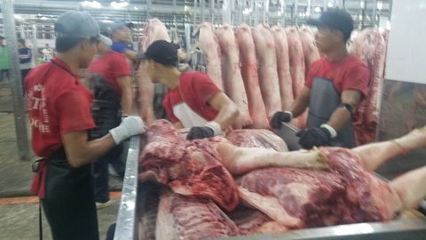 Giá heo giảm dần nhưng vẫn cao hơn Tết năm ngoái hàng chục ngàn - Ảnh 1. Giá heo giảm dần nhưng vẫn cao hơn Tết năm ngoái hàng chục ngàn - Ảnh 1.