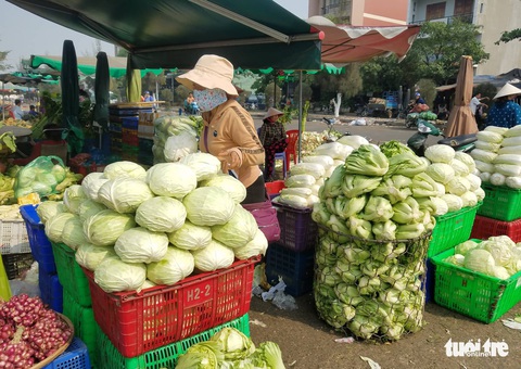 Trái cây tăng sản lượng giáp tết, nhiều loại rau củ Đà Lạt giảm giá mạnh - Ảnh 7. Trái cây tăng sản lượng giáp tết, nhiều loại rau củ Đà Lạt giảm giá mạnh - Ảnh 7.