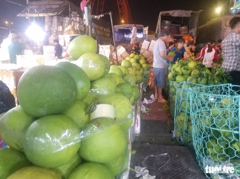 Trái cây tăng sản lượng giáp tết, nhiều loại rau củ Đà Lạt giảm giá mạnh - Ảnh 1. Trái cây tăng sản lượng giáp tết, nhiều loại rau củ Đà Lạt giảm giá mạnh - Ảnh 1.