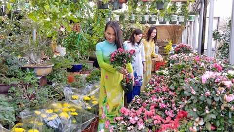 Thương làm sao ‘tết cuối tuần’ rưng rưng của người Việt mình - Ảnh 1. Thương làm sao ‘tết cuối tuần’ rưng rưng của người Việt mình - Ảnh 1.