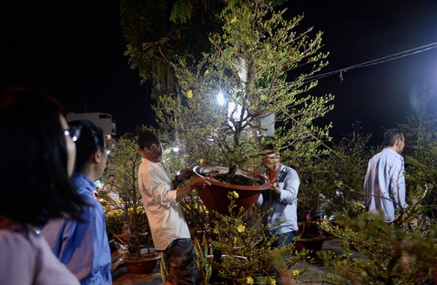 Chợ hoa không nói thách, người Sài Gòn vui vẻ mua hoa đến nửa đêm - Ảnh 5. Chợ hoa không nói thách, người Sài Gòn vui vẻ mua hoa đến nửa đêm - Ảnh 5.