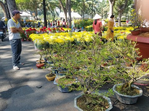 Sợ ngậm hàng, nhiều nhà vườn bắt đầu giảm giá hoa - Ảnh 6.