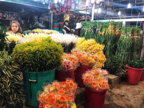 Chợ hoa sỉ lớn nhất Sài Gòn có nguy cơ vỡ trận như 2 năm trước? - Ảnh 1. Chợ hoa sỉ lớn nhất Sài Gòn có nguy cơ vỡ trận như 2 năm trước? - Ảnh 1.