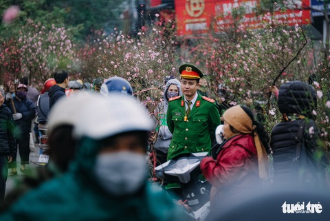 Chuột vàng ‘cõng’ đào Nhật Tân hút khách ngày cận tết - Ảnh 8. Chuột vàng ‘cõng’ đào Nhật Tân hút khách ngày cận tết - Ảnh 8.