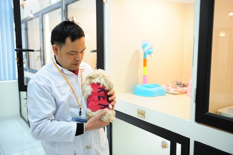 Khách sạn thú cưng giá 500.000 đồng/ngày nhộn nhịp ngày tết - Ảnh 6. Khách sạn thú cưng giá 500.000 đồng/ngày nhộn nhịp ngày tết - Ảnh 6.