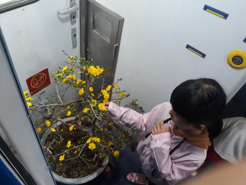 Cùng con sống chậm trên tàu về quê ăn tết - Ảnh 5. Cùng con sống chậm trên tàu về quê ăn tết - Ảnh 5.