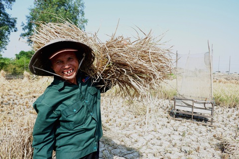 Gặt lúa giữa đồng trưa 27 tết, vợ chồng già cười tặng cả mùa xuân - Ảnh 5. Gặt lúa giữa đồng trưa 27 tết, vợ chồng già cười tặng cả mùa xuân - Ảnh 5.