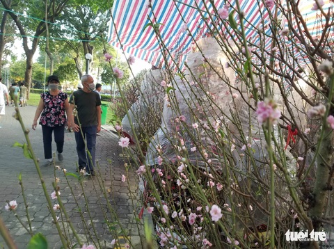 Chống gậy tìm mua hoa đào chơi tết - Ảnh 4. Chống gậy tìm mua hoa đào chơi tết - Ảnh 4.