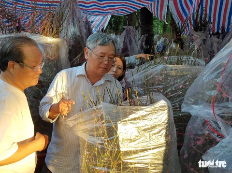 Chống gậy tìm mua hoa đào chơi tết - Ảnh 6. Chống gậy tìm mua hoa đào chơi tết - Ảnh 6.