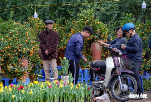 Tết Nguyên đán Canh Tý: Hà Nội chuột vàng, chuột đỏ khắp nơi - Ảnh 14. Tết Nguyên đán Canh Tý: Hà Nội chuột vàng, chuột đỏ khắp nơi - Ảnh 14.