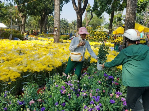 Hoa tết tiêu thụ chậm, người bán lo lắng - Ảnh 2. Hoa tết tiêu thụ chậm, người bán lo lắng - Ảnh 2.