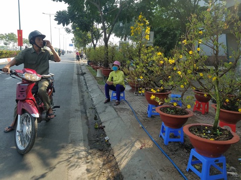 Hoa tết tiêu thụ chậm, người bán lo lắng - Ảnh 7. Hoa tết tiêu thụ chậm, người bán lo lắng - Ảnh 7.