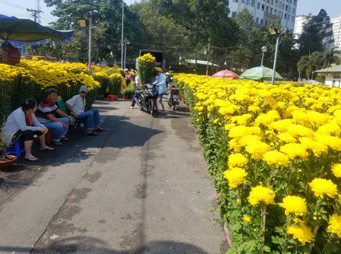 Hoa tết tiêu thụ chậm, người bán lo lắng - Ảnh 5. Hoa tết tiêu thụ chậm, người bán lo lắng - Ảnh 5.