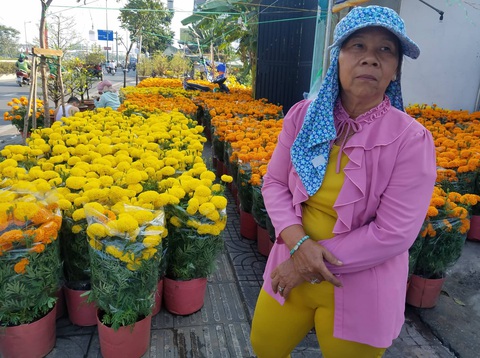 Hoa tết tiêu thụ chậm, người bán lo lắng - Ảnh 3. Hoa tết tiêu thụ chậm, người bán lo lắng - Ảnh 3.