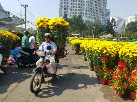 Hoa tết tiêu thụ chậm, người bán lo lắng - Ảnh 1. Hoa tết tiêu thụ chậm, người bán lo lắng - Ảnh 1.
