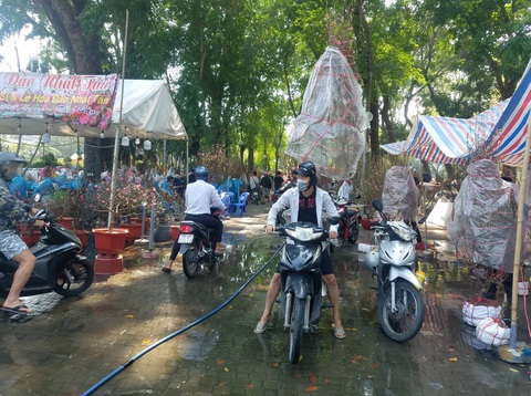 Hoa tết tiêu thụ chậm, người bán lo lắng - Ảnh 11. Hoa tết tiêu thụ chậm, người bán lo lắng - Ảnh 11.