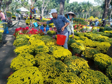 Hoa tết tiêu thụ chậm, người bán lo lắng - Ảnh 6. Hoa tết tiêu thụ chậm, người bán lo lắng - Ảnh 6.