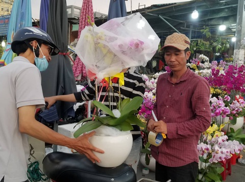 Cận tết, dân Sài Gòn rủ nhau đi săn lan hồ điệp đến khuya - Ảnh 6. Cận tết, dân Sài Gòn rủ nhau đi săn lan hồ điệp đến khuya - Ảnh 6.