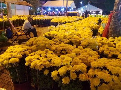Hoa có ế thì thà cho chứ không bán rẻ mạt - Ảnh 1. Hoa có ế thì thà cho chứ không bán rẻ mạt - Ảnh 1.