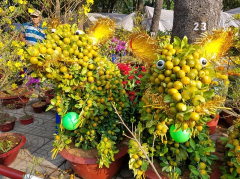 Hoa có ế thì thà cho chứ không bán rẻ mạt - Ảnh 7. Hoa có ế thì thà cho chứ không bán rẻ mạt - Ảnh 7.