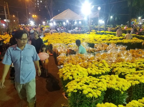 Cúc, quất... giá giảm hơn một nửa, dân Sài Gòn đổ xô đi mua - Ảnh 2. Cúc, quất... giá giảm hơn một nửa, dân Sài Gòn đổ xô đi mua - Ảnh 2.