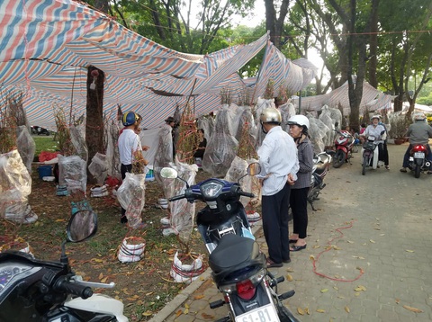 Hoa có ế thì thà cho chứ không bán rẻ mạt - Ảnh 8. Hoa có ế thì thà cho chứ không bán rẻ mạt - Ảnh 8.