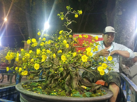 Cúc, quất... giá giảm hơn một nửa, dân Sài Gòn đổ xô đi mua - Ảnh 8. Cúc, quất... giá giảm hơn một nửa, dân Sài Gòn đổ xô đi mua - Ảnh 8.