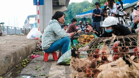 Người Hà Nội chen chân trong phiên chợ cuối cùng của năm - Ảnh 6. Người Hà Nội chen chân trong phiên chợ cuối cùng của năm - Ảnh 6.