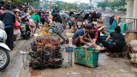Người Hà Nội chen chân trong phiên chợ cuối cùng của năm - Ảnh 5. Người Hà Nội chen chân trong phiên chợ cuối cùng của năm - Ảnh 5.