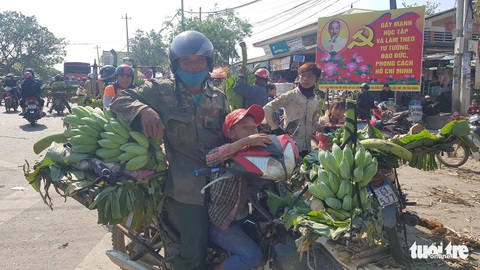 Chuối Tân Long - ‘thủ phủ chuối’ miền Trung lo vỡ trận - Ảnh 7. Chuối Tân Long - ‘thủ phủ chuối’ miền Trung lo vỡ trận - Ảnh 7.