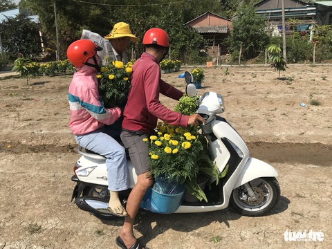 28 tết, lái bùng 3.000 chậu hoa, dân mạng tràn tới cứu lão nông Bình Chánh - Ảnh 2. 28 tết, lái bùng 3.000 chậu hoa, dân mạng tràn tới cứu lão nông Bình Chánh - Ảnh 2.