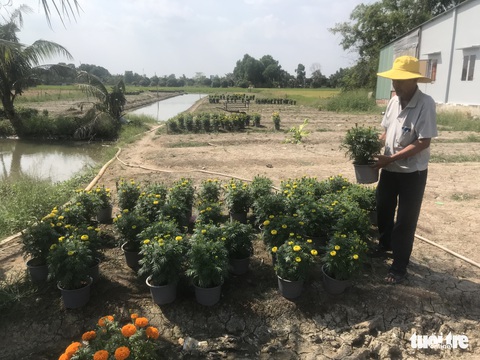 28 tết, lái bùng 3.000 chậu hoa, dân mạng tràn tới cứu lão nông Bình Chánh - Ảnh 3. 28 tết, lái bùng 3.000 chậu hoa, dân mạng tràn tới cứu lão nông Bình Chánh - Ảnh 3.