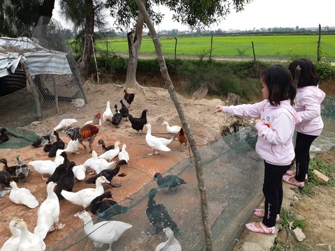 Dẹp tiệc tùng nấu nướng, dẫn con ra đồng - Ảnh 1. Dẹp tiệc tùng nấu nướng, dẫn con ra đồng - Ảnh 1.