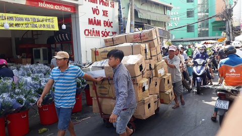 Tan tác chợ hoa Sài Gòn, tiền tỉ đổ bỏ ngày 30 tết - Ảnh 6. Tan tác chợ hoa Sài Gòn, tiền tỉ đổ bỏ ngày 30 tết - Ảnh 6.