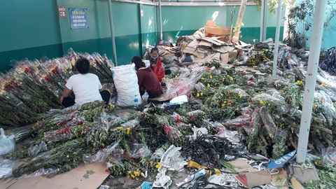 Tan tác chợ hoa Sài Gòn, tiền tỉ đổ bỏ ngày 30 tết - Ảnh 5. Tan tác chợ hoa Sài Gòn, tiền tỉ đổ bỏ ngày 30 tết - Ảnh 5.