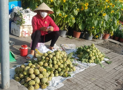 Sáng 30 tết: khách đến siêu thị và chợ không đông, nhiều mặt hàng giảm giá bán - Ảnh 12. Sáng 30 tết: khách đến siêu thị và chợ không đông, nhiều mặt hàng giảm giá bán - Ảnh 12.