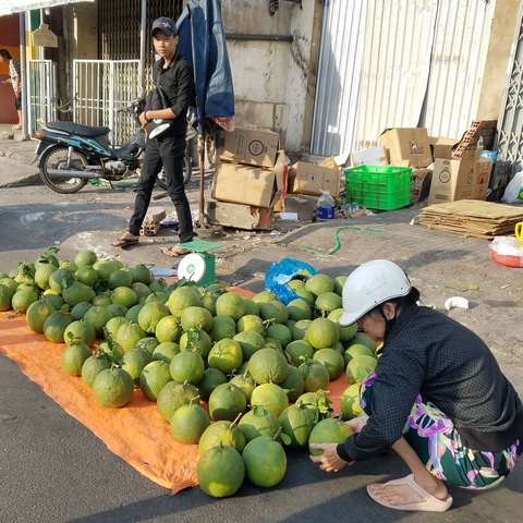 Sáng 30 tết: khách đến siêu thị và chợ không đông, nhiều mặt hàng giảm giá bán - Ảnh 11. Sáng 30 tết: khách đến siêu thị và chợ không đông, nhiều mặt hàng giảm giá bán - Ảnh 11.