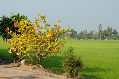 Tết là đây, con đã về với mẹ, sau 20 năm... - Ảnh 1. Tết là đây, con đã về với mẹ, sau 20 năm... - Ảnh 1.