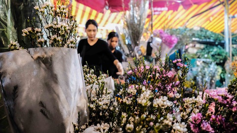Chợ hoa Quảng An nhất quyết không hạ giá - Ảnh 4. Chợ hoa Quảng An nhất quyết không hạ giá - Ảnh 4.