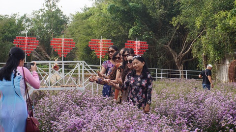 Mùng 2 tết, khám phá điểm du xuân độc lạ ở Cần Thơ - Ảnh 1. Mùng 2 tết, khám phá điểm du xuân độc lạ ở Cần Thơ - Ảnh 1.
