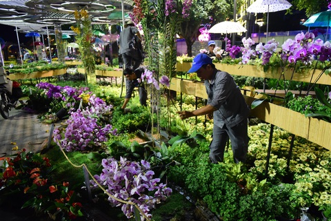 Hoa trên đường hoa Nguyễn Huệ 2020 khoe sắc trước giờ đóng cửa - Ảnh 5. Hoa trên đường hoa Nguyễn Huệ 2020 khoe sắc trước giờ đóng cửa - Ảnh 5.