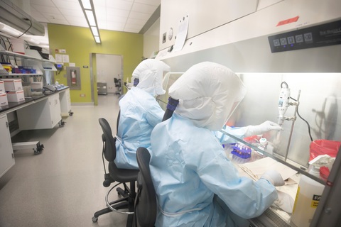 Giới khoa học chạy đua chế tạo văcxin chống virus corona mới - Ảnh 1. Giới khoa học chạy đua chế tạo văcxin chống virus corona mới - Ảnh 1.