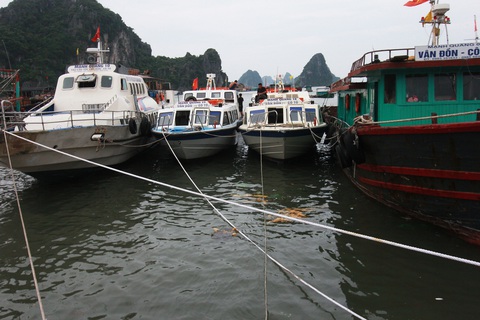 Tàu cao tốc Vân Đồn - Cô Tô tăng giá vé gần tết, nghi bắt tay làm giá - Ảnh 1. Tàu cao tốc Vân Đồn - Cô Tô tăng giá vé gần tết, nghi bắt tay làm giá - Ảnh 1.