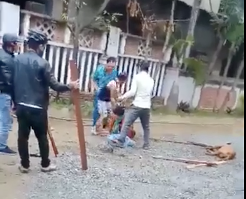 Kinh hoàng cảnh chó pitbull tấn công làm một bà cụ dập nát cánh tay - Ảnh 1. Kinh hoàng cảnh chó pitbull tấn công làm một bà cụ dập nát cánh tay - Ảnh 1.