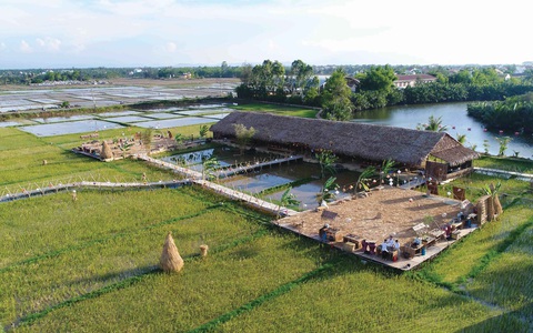 Đi tiệc thưởng thức cánh đồng - Ảnh 2. Đi tiệc thưởng thức cánh đồng - Ảnh 2.