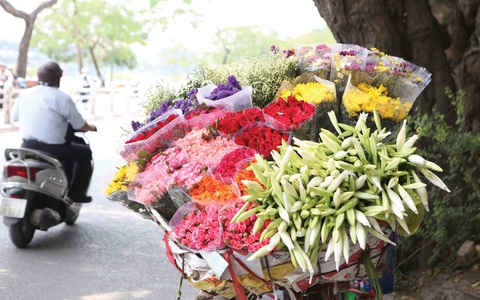 Em ơi, Hà Nội hoa - Ảnh 1. Em ơi, Hà Nội hoa - Ảnh 1.