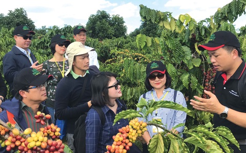 Khi công nghệ đi vào cây cà phê - Ảnh 2. Khi công nghệ đi vào cây cà phê - Ảnh 2.