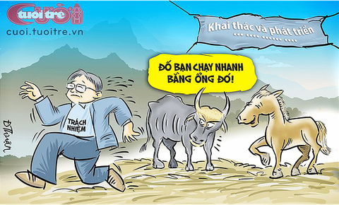 Đàn bò tót lai và tiền ngân sách - Ảnh 1. Đàn bò tót lai và tiền ngân sách - Ảnh 1.