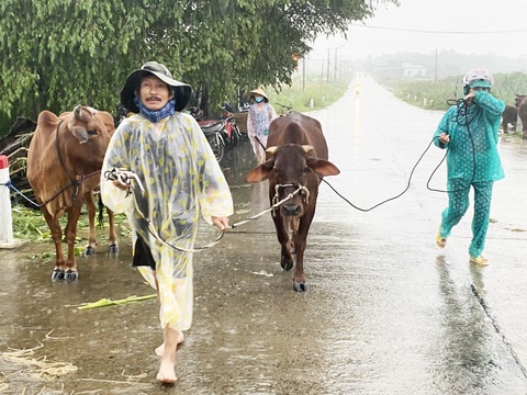 Thủy điện, thủy lợi cùng xả nước, Huế đối mặt lũ lớn hơn mức 20 năm trước - Ảnh 3. Thủy điện, thủy lợi cùng xả nước, Huế đối mặt lũ lớn hơn mức 20 năm trước - Ảnh 3.