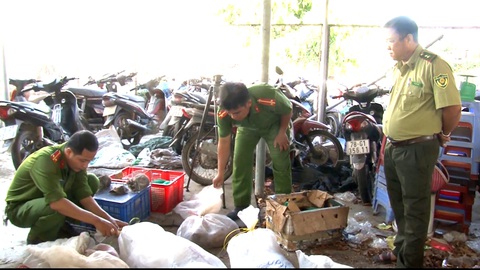 Bị tạm giữ nhiều động vật quý hiếm, chủ trại chết nghi treo cổ - Ảnh 1. Bị tạm giữ nhiều động vật quý hiếm, chủ trại chết nghi treo cổ - Ảnh 1.